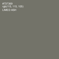 #737369 - Limed Ash Color Image